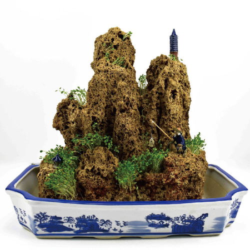 精品上水石假山盆景吸水石天然奇石原石創(chuàng)意禮品家庭景觀奇石裝飾